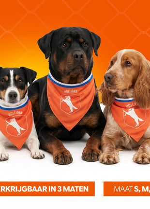 Oranje Bandana Holland