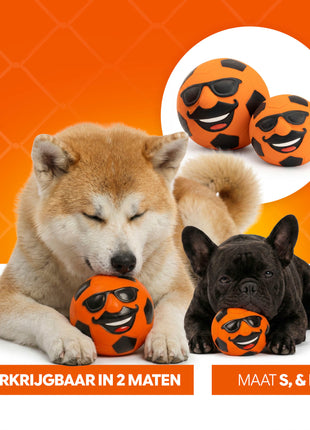 Oranje Mr. Dutch