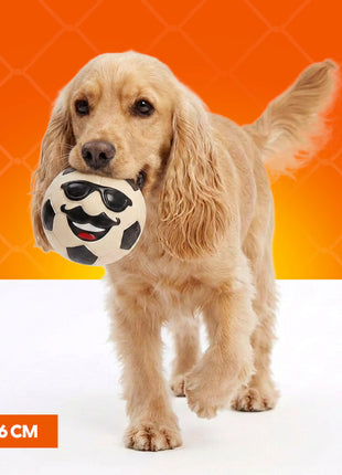 Oranje Mr WK Soccer