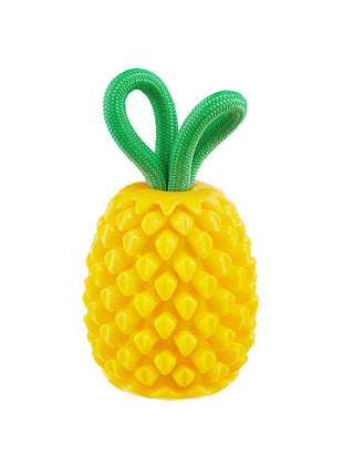 Outward Hound Dental Pineapple