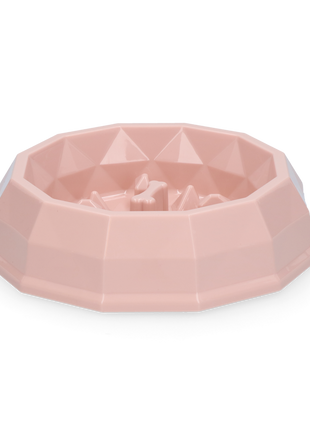 Pawise My Slow Feeding Bowl M