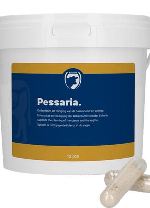 Excellent Pessaria Capsule 12 st