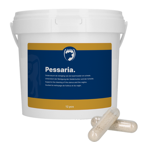 Excellent Pessaria Capsule 12 st