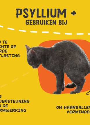 Excellent Pets Cat Psyllium+ 100 g