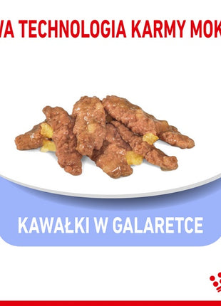 Royal Canin Indoor Sterilised Jelly karma mokra dla kotów dorosłych sterylizowanych, przebywających w domu saszetka 85g
