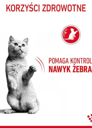 Royal Canin Appetite Control Care karma sucha dla kotów dorosłych, domagających się jedzenia 2kg