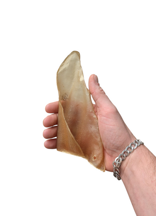 Fidello Dog Snack Pack – The ultimate treat for puppies and adult dogs