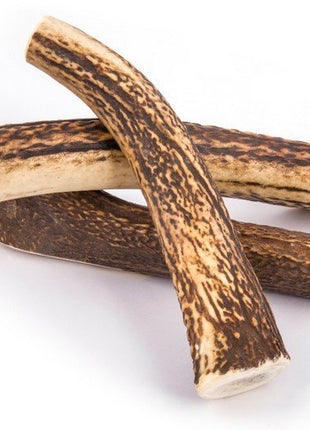 4DOGS Gryzak z poroża XS hard