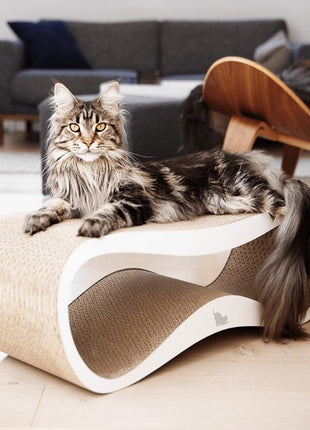 MyKotty Drapak Lui biały