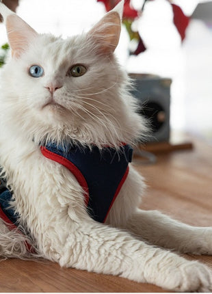 Dingo Szelki bezuciskowe z dwupaskową regulacją L granatowe