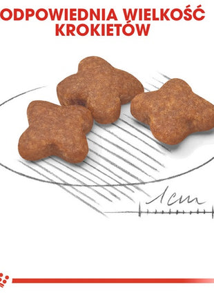 Royal Canin Mini Adult 8+ karma sucha dla psów starszych od 8 do 12 roku życia, ras małych 2kg