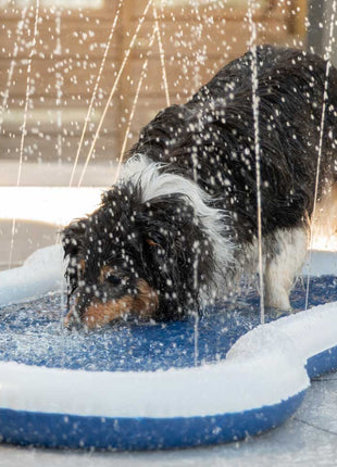 QUAPAS! Honden waterfontein mat in de tuin