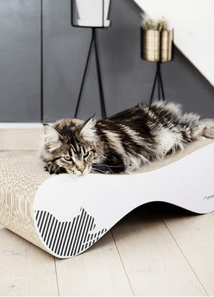 MyKotty Drapak Vigo biały