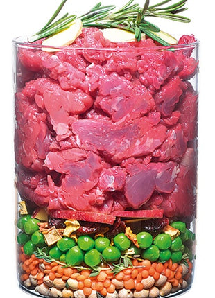 Carnilove Dog True Fresh Beef Adult - wołowina 11,4kg