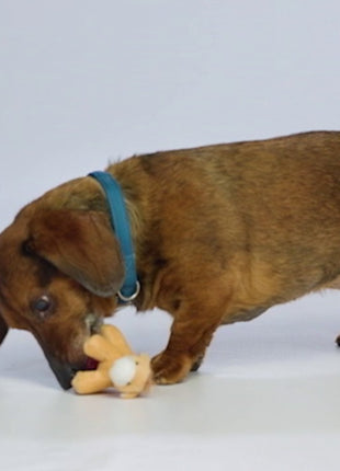 Petsport Tiny Tots Teddy Bruin