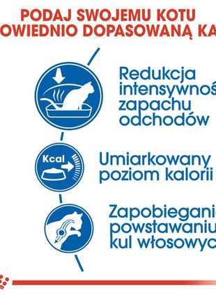 Royal Canin Indoor karma sucha dla kotów dorosłych, przebywających wyłącznie w domu 400g