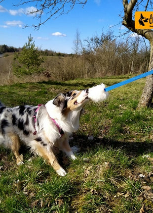 Dingo Zabawka dla psa - Szarpak Naturalne futro owcze z długą rączką niebieski