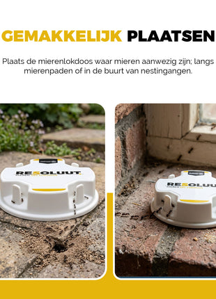 Resoluut Mieren Gel Lokdoos 20 stuks