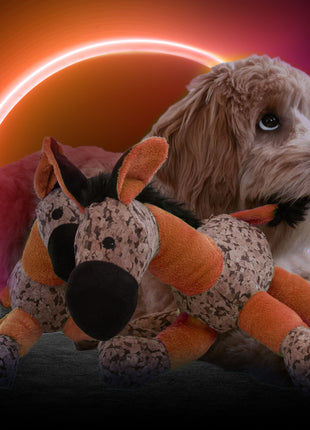 Retrodog Donkey Oranje