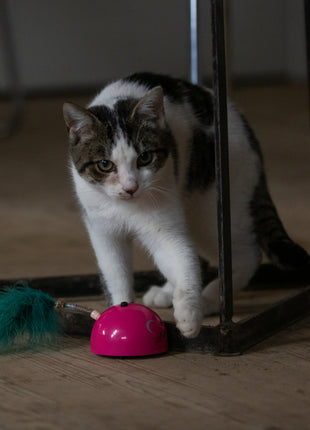 Robocat Muis Roze