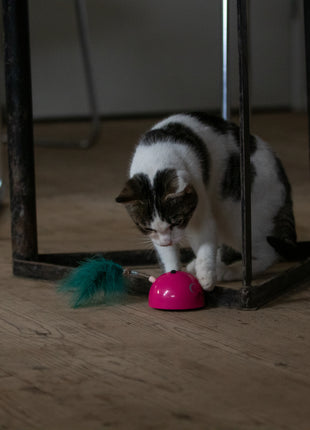 Robocat Muis Roze