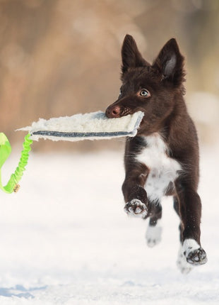 Dingo Zabawka dla psa - Szarpak Wełna owcza z rączką bungee zielony