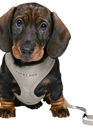 Trixie Szelki ze smyczą Junior 26-34cm jasnoszare [15560]