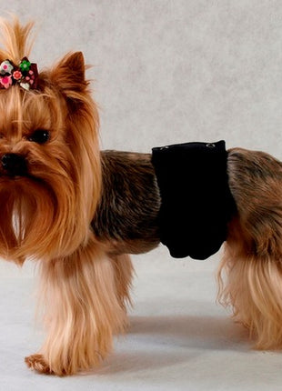 Grande Finale Pampas czarny - majtki dla samca rozmiar 2 [PA1/2]