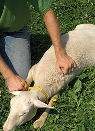 Schapenhouder Gambrel Restrainer