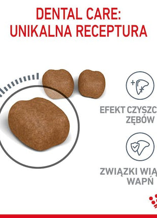 Royal Canin Dental Care karma sucha dla kotów dorosłych, redukująca odkładanie kamienia nazębnego 1,5kg
