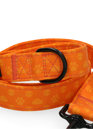 Spotted! Pro Perfect Leash 120 cm Oranje