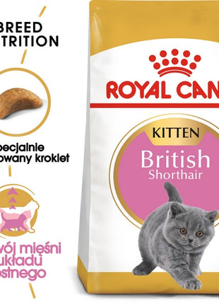 Royal Canin British Shorthair Kitten karma sucha dla kociąt, do 12 miesiąca, rasy brytyjski krótkowłosy 2kg