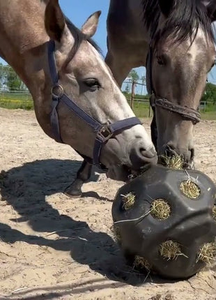 Excellent Horse Feed & Play Ball Groen