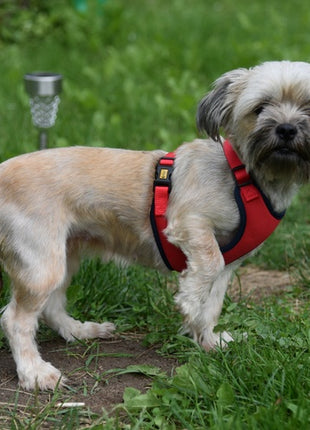 Dingo Szelki bezuciskowe z dwupaskową regulacją S czerwone