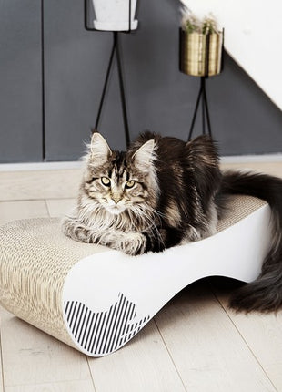 MyKotty Drapak Vigo biały