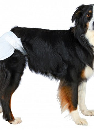 Trixie Pieluchy/Majtki dla suki 12szt/op L  [23635]