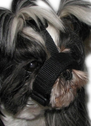 Grande Finale Kaganiec dla psa pekińczyk rozmiar 6 (33-36cm)