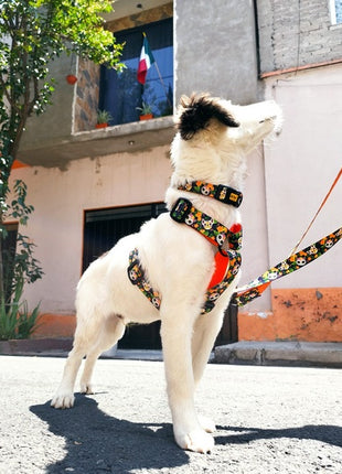 Dingo Szelki dwupaskowe Guard City - Chiapas rozmiar M