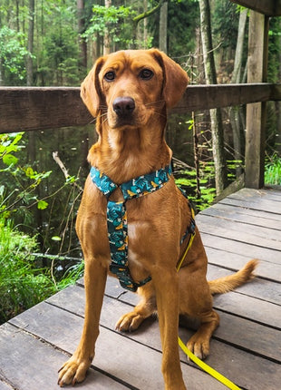 Dingo Szelki dwupaskowe Guard City - Monstera rozmiar L