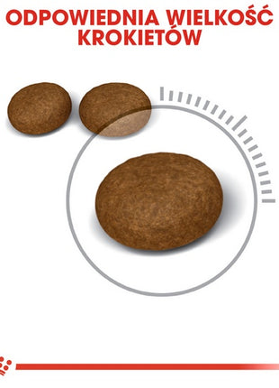 Royal Canin Hair&Skin Care karma sucha dla kotów dorosłych, lśniąca sierść i zdrowa skóra 400g