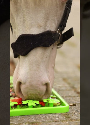 Excellent Horse Snuffle Mat