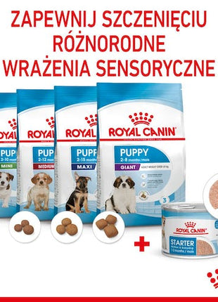 Royal Canin Starter Mother&Babydog karma mokra - mus, dla suk w czasie ciąży, laktacji oraz szczeniąt puszka 195g