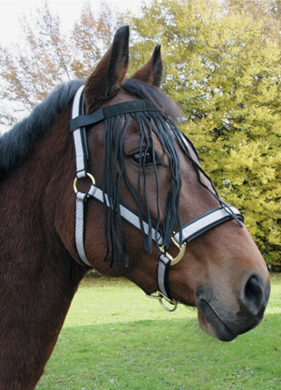 Vliegenfrontriem Paard maat: Full