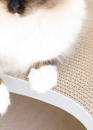 MyKotty Drapak Lui siwy