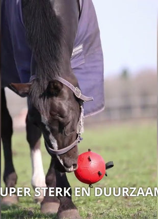 Excellent Horse Fun Play Ball Geel