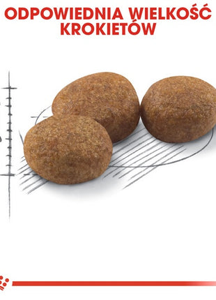 Royal Canin Sterilised karma sucha dla kotów dorosłych, sterylizowanych 4kg