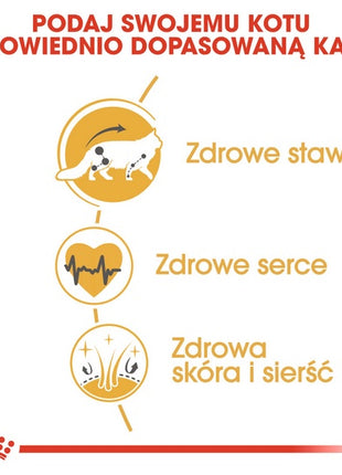 Royal Canin Maine Coon Adult karma sucha dla kotów dorosłych rasy maine coon 400g