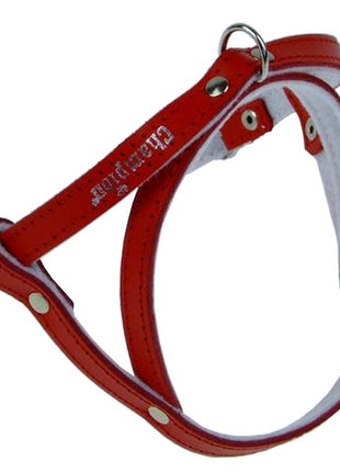Champion Szelki 40 czerwone [SD(R)]