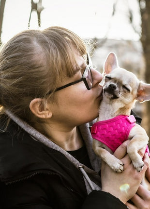 Dingo Szelki bezuciskowe z dwupaskową regulacją M różowe