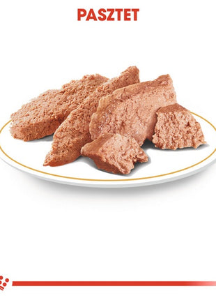 Royal Canin Dachshund karma mokra - pasztet, dla psów dorosłych rasy jamnik saszetka 85g